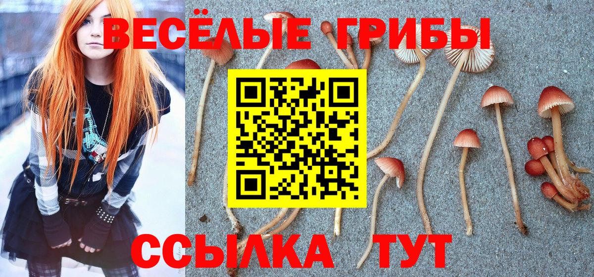 Псилоцибиновые грибы мицелий  Вход с VPN  Октябрьский 